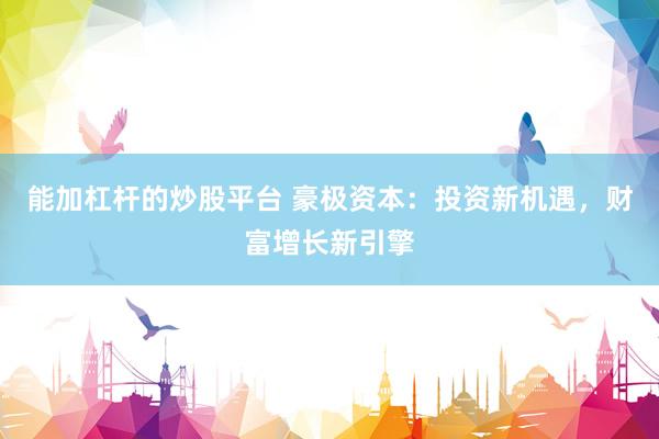 能加杠杆的炒股平台 豪极资本：投资新机遇，财富增长新引擎