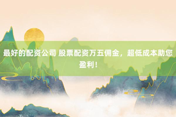 最好的配资公司 股票配资万五佣金，超低成本助您盈利！