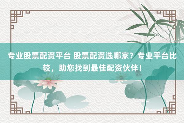 专业股票配资平台 股票配资选哪家？专业平台比较，助您找到最佳配资伙伴！