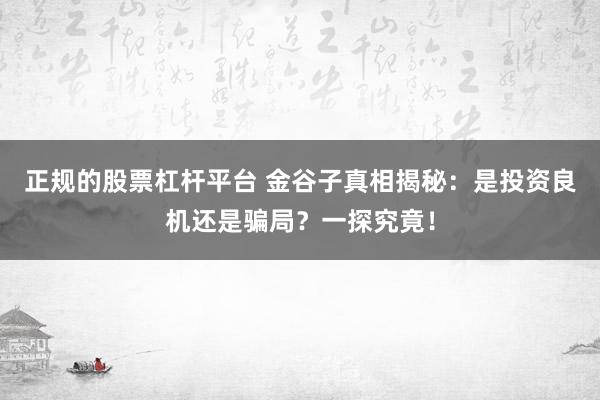 正规的股票杠杆平台 金谷子真相揭秘：是投资良机还是骗局？一探究竟！