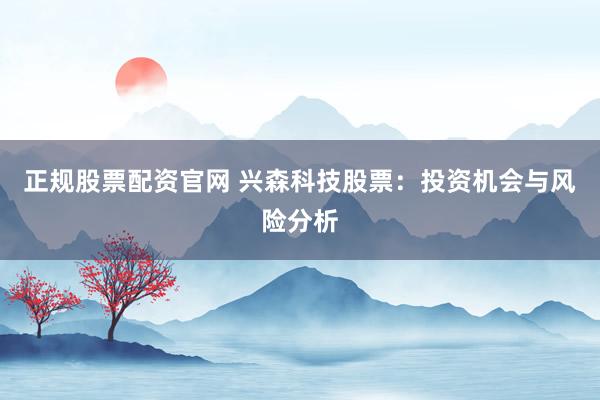 正规股票配资官网 兴森科技股票：投资机会与风险分析