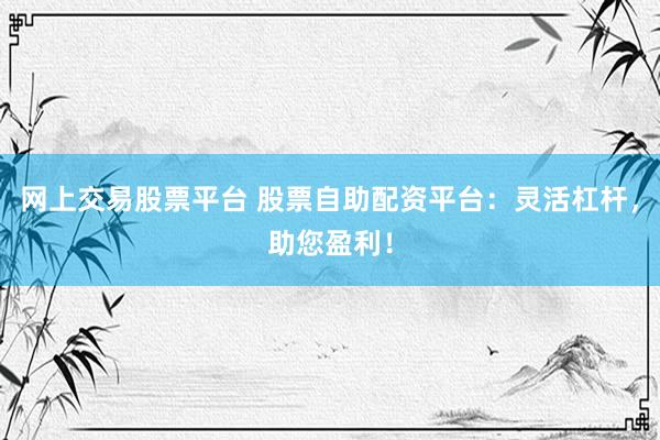 网上交易股票平台 股票自助配资平台：灵活杠杆，助您盈利！