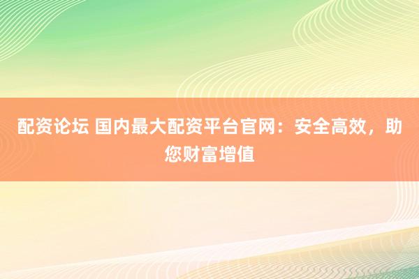 配资论坛 国内最大配资平台官网：安全高效，助您财富增值