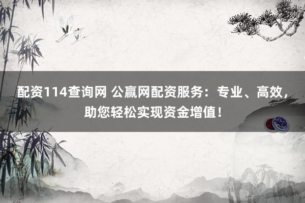 配资114查询网 公赢网配资服务：专业、高效，助您轻松实现资金增值！