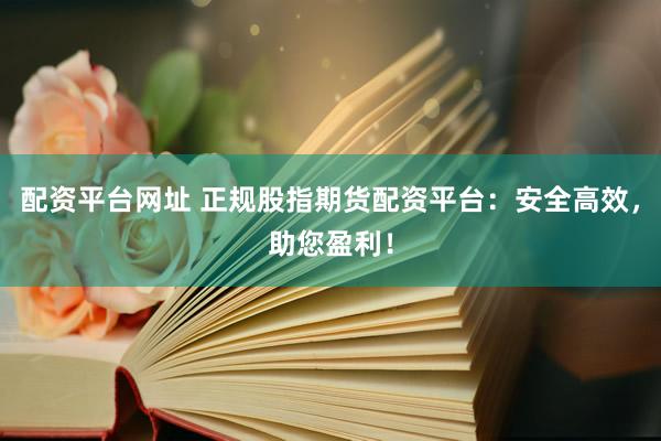 配资平台网址 正规股指期货配资平台：安全高效，助您盈利！