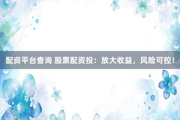 配资平台查询 股票配资投：放大收益，风险可控！