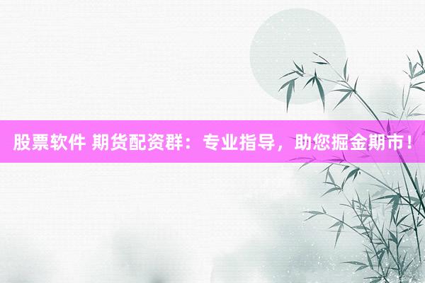 股票软件 期货配资群：专业指导，助您掘金期市！